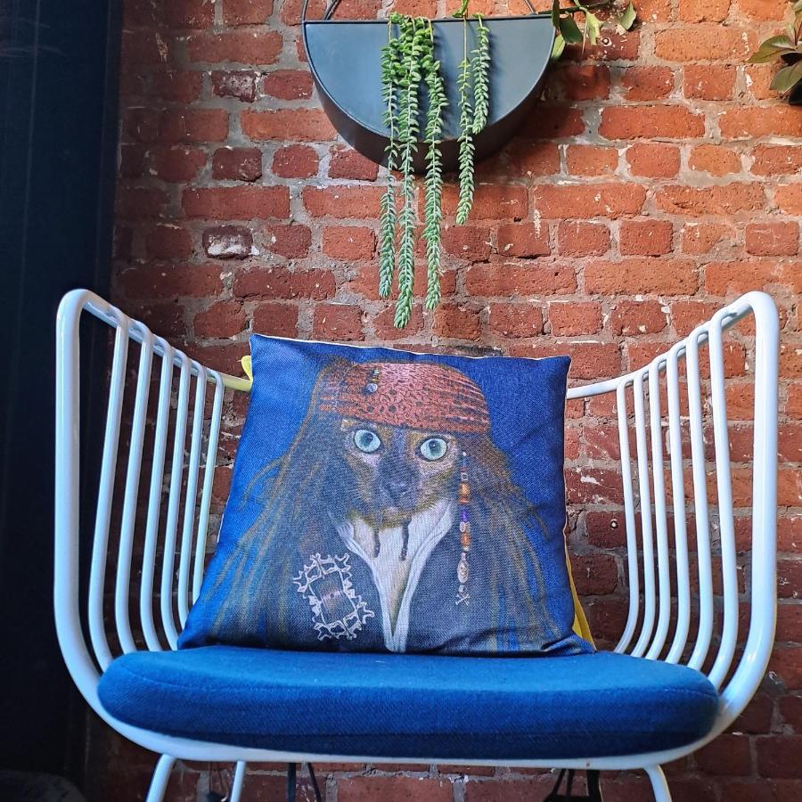 Pet-Friendly City Loft Apartment Fokváros Kültér fotó