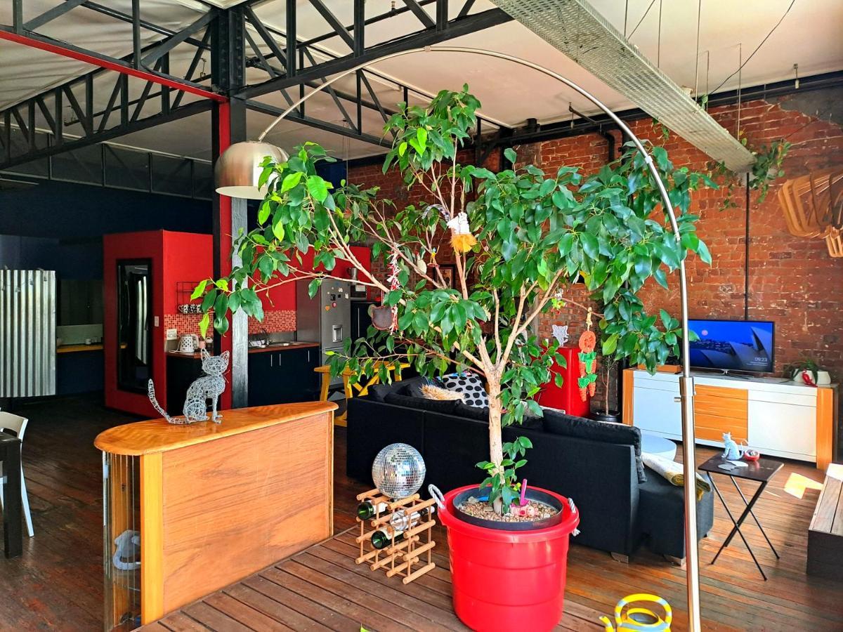 Pet-Friendly City Loft Apartment Fokváros Kültér fotó